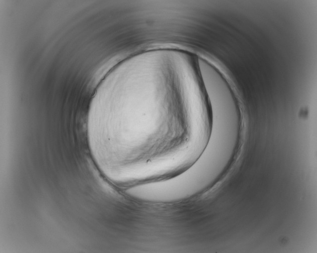 X0000112890809200909181911