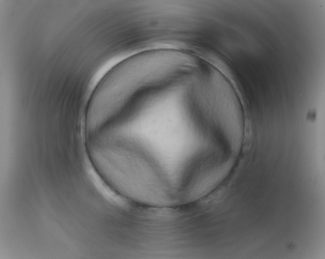 X0000112890811200909181911