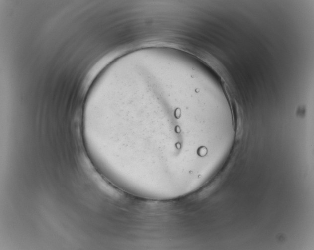 X0000112890812200909181911