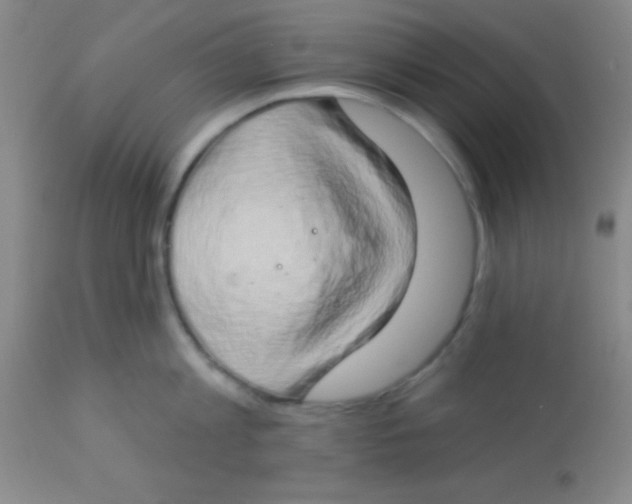 X0000112890813200909181911
