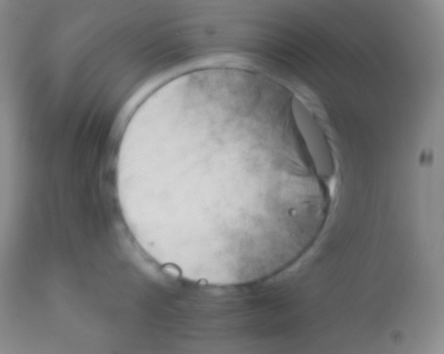 X0000112890816200909181910