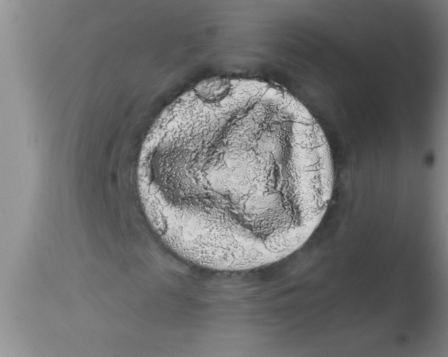X0000112890817200909181910