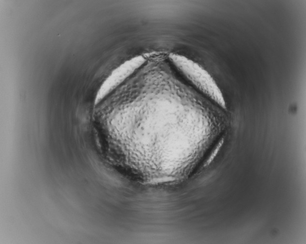 X0000112890818200909181910