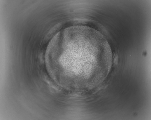 X0000112890819200909181910