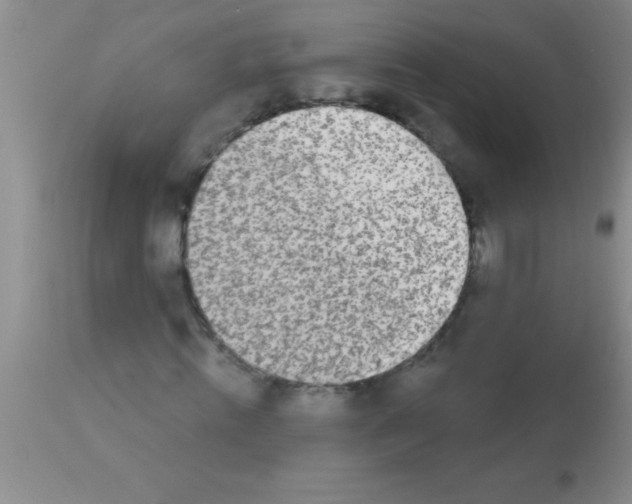 X0000112890820200909181910