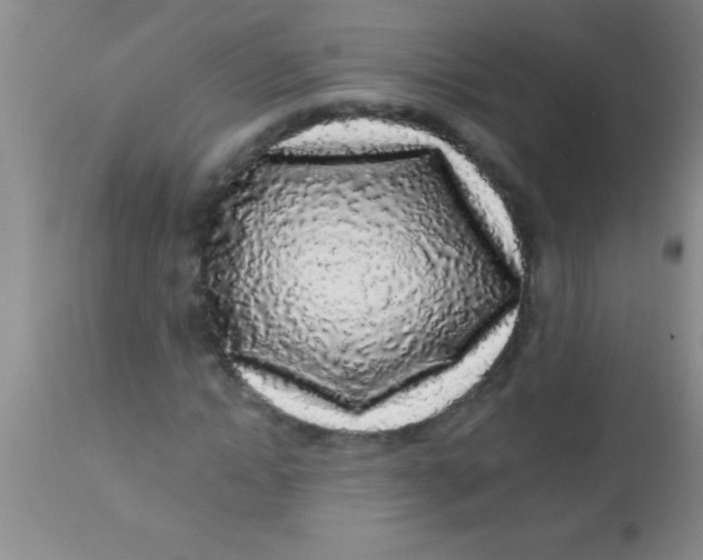 X0000112890822200909181910