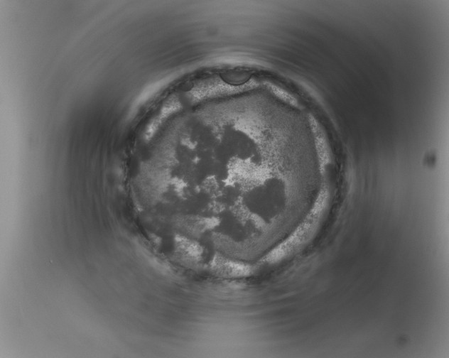 X0000112890823200909181910