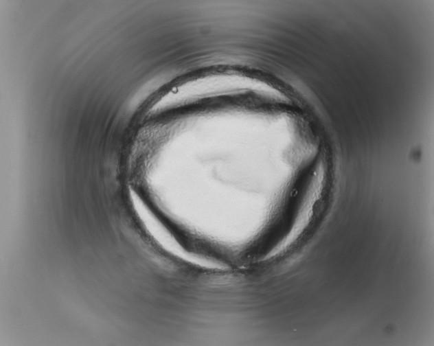X0000112890826200909181910