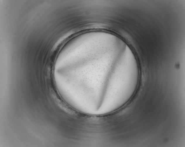 X0000112890827200909181910