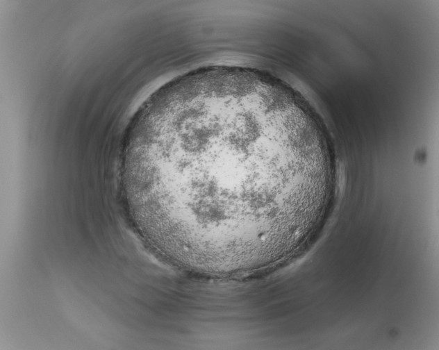 X0000112890829200909181910