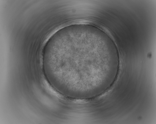 X0000112890835200909181910
