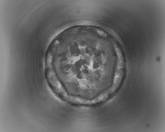 X0000112890839200909181910