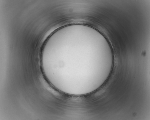 X0000112890843200909181910