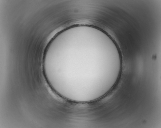 X0000112890845200909181910