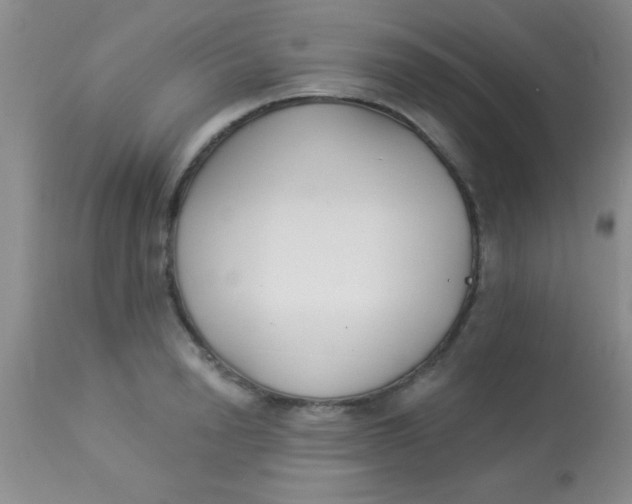 X0000112890846200909181910