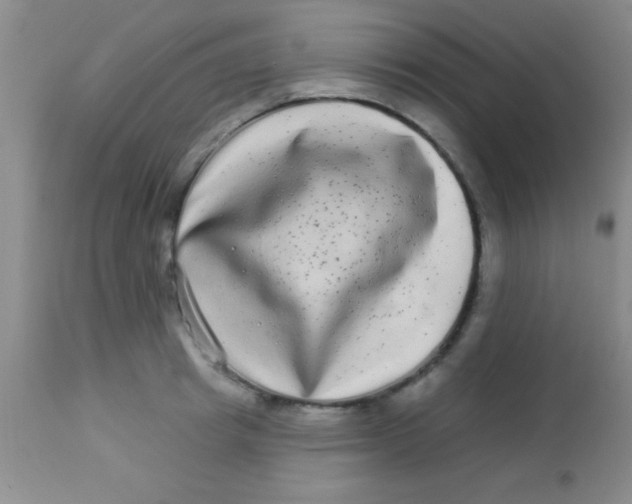 X0000112890849200909181910