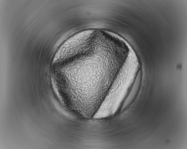 X0000112890850200909181910