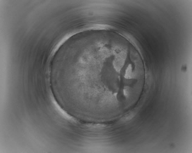 X0000112890851200909181910