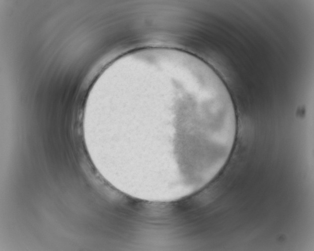 X0000112890856200909181910