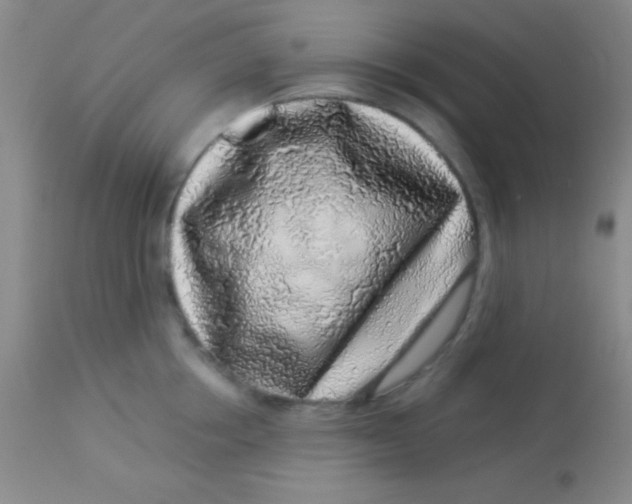 X0000112890858200909181910