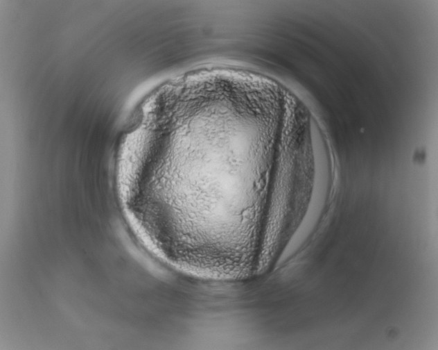 X0000112890862200909181910