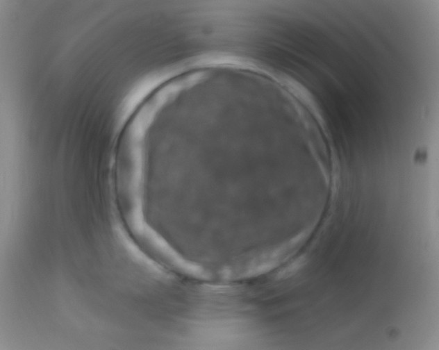 X0000112890863200909181910