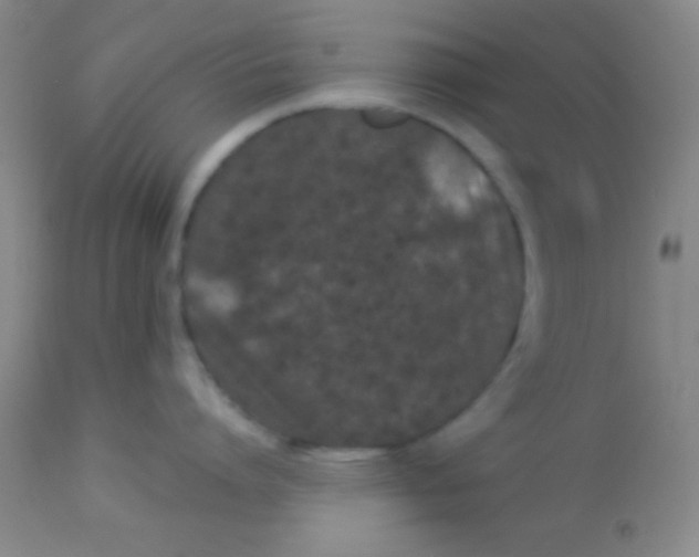 X0000112890864200909181910