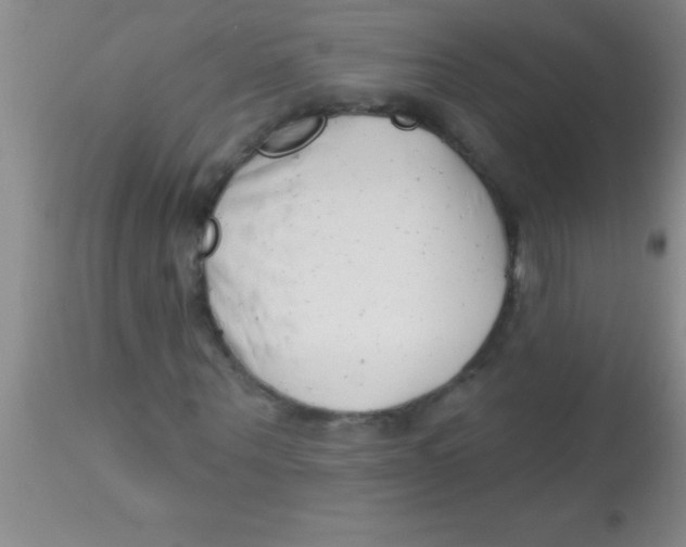 X0000112890867200909181910