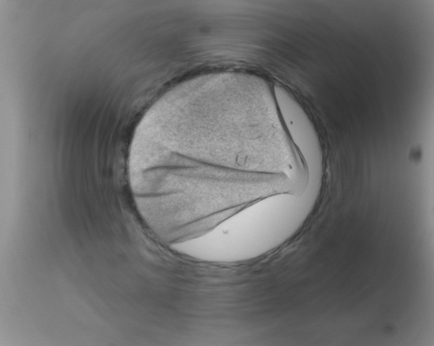 X0000112890868200909181910