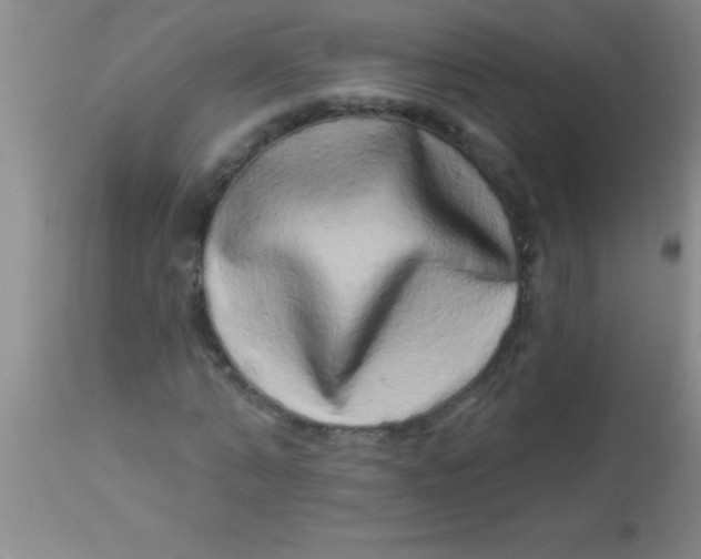X0000112890870200909181910