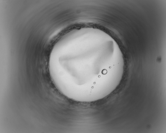 X0000112890871200909181910