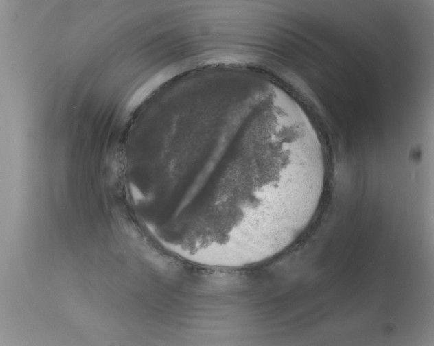 X0000112890874200909181910