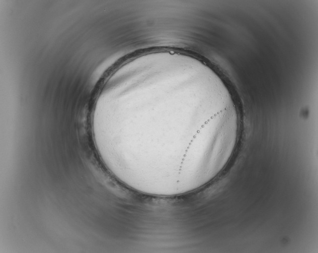 X0000112890875200909181910