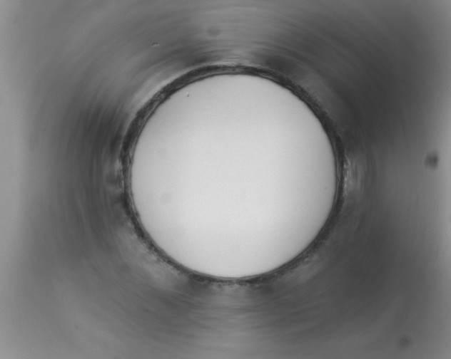 X0000112890876200909181910