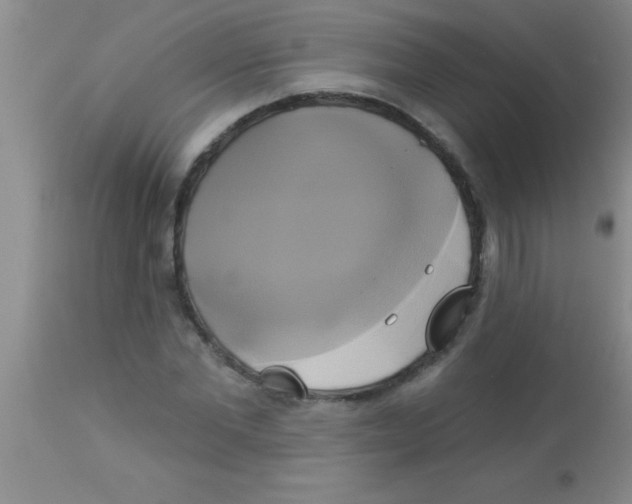 X0000112890877200909181910