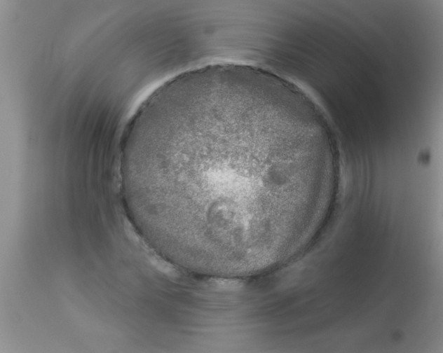 X0000112890878200909181910