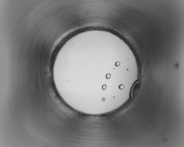 X0000112890880200909181910