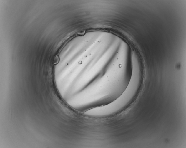 X0000112890881200909181910