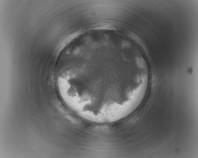 X0000112890882200909181910