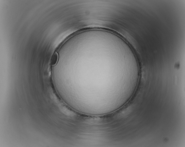 X0000112890885200909181910