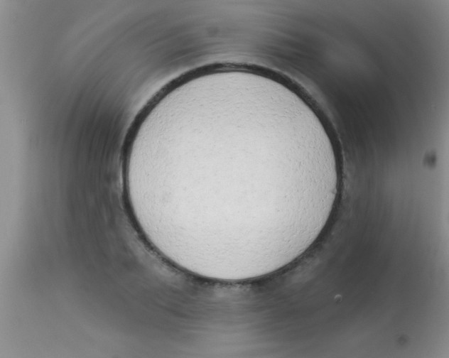 X0000112890887200909181909