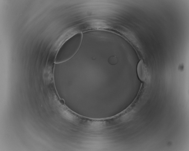 X0000112890889200909181909