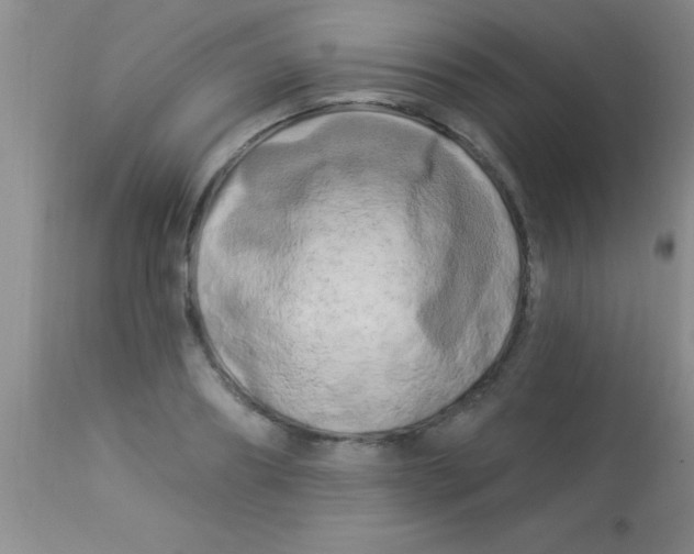 X0000112890890200909181909