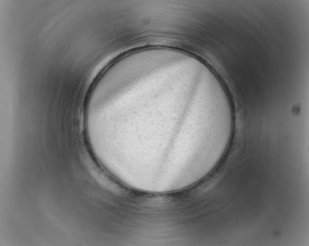 X0000112890891200909181909