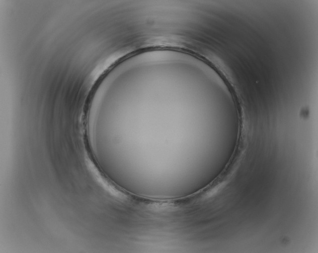 X0000112890893200909181909