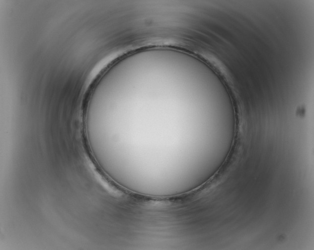 X0000112890894200909181909