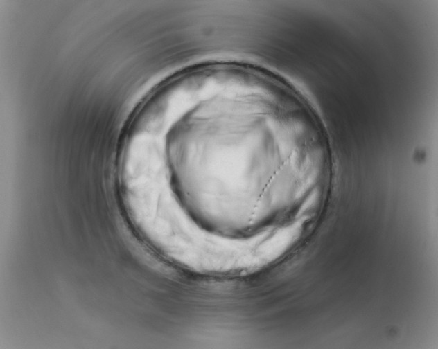 X0000112890895200909181909