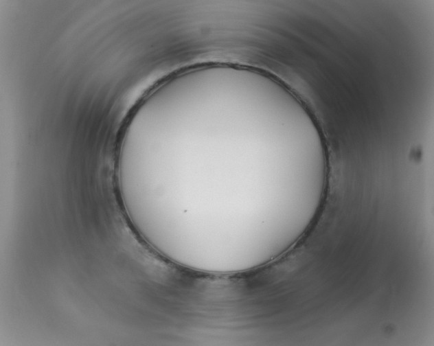 X0000112890896200909181909