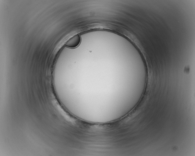 X0000112890898200909181909