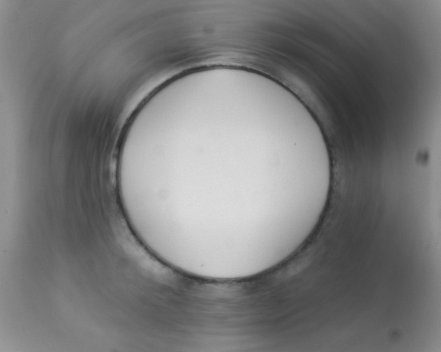 X0000112890900200909181909